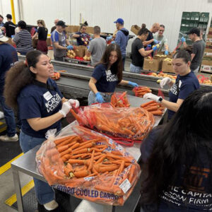 volunteers sorting carrots-2