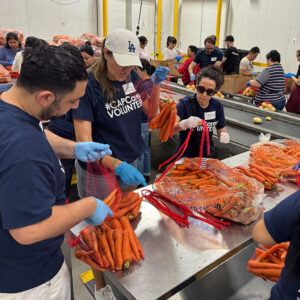 volunteers sorting carrots-3