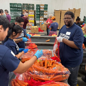 volunteers sorting carrots