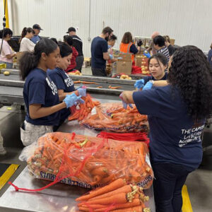 volunteers sorting carrots-4